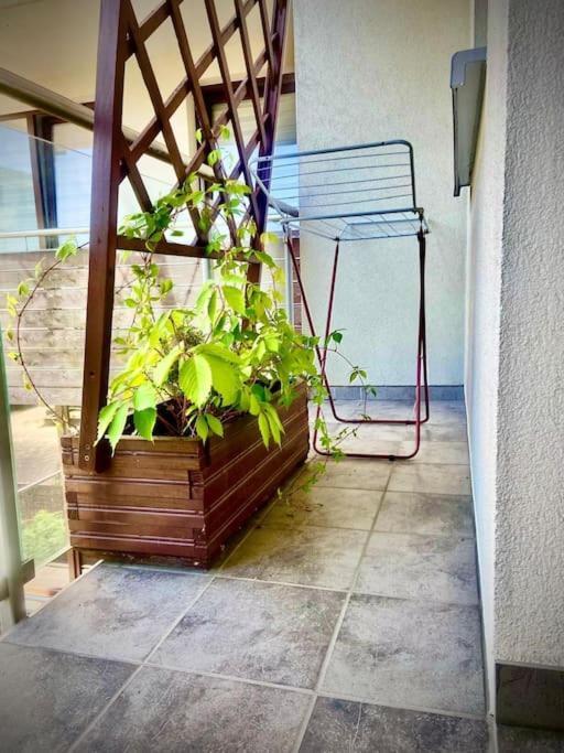 Apartament Grzegorzecka Centrum Krakow Bagian luar foto